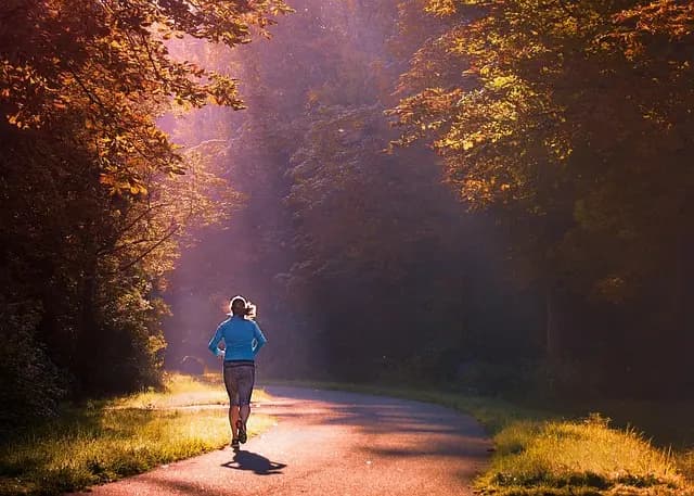 Comment choisir le meilleur investissement pour le sport en direct